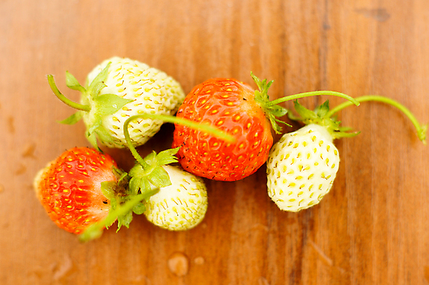 포토 JPG 해외이미지 나무 식물 라이프스타일 열매 꽃 음식 백그라운드 잎 농업 과일 자연 딸기 디저트 건강 사람없음 목재 빨간색 초록색 빛 태양 정원 봄 활발 흰색 시골 신선 닫기 달콤 아침식사 큼 먹기 오브젝트 유기농 질감 날것 아로마 점심식사 생태학 진짜 해외202004 해외포토 자연요소 웰빙 계절 교육 산업 컬러 컨셉 재료 모션 생활 식사 맛 크기 생태계 파일형식 이미지허브