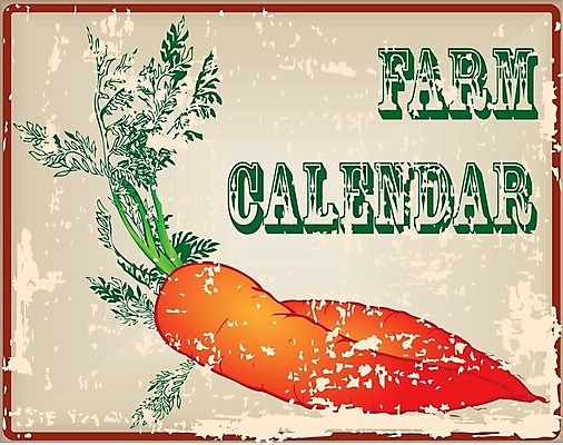 EPS 해외이미지 디자인 산업 음식 백그라운드 농업 다이어트 채소 일러스트 재료 프레임 건강 요리 미술 그래픽 세트 농장 라벨 당근 수확 달력 골동품 신선 신용카드 그룹 클래식 매끈함 자르기 다발 심볼 사인 메뉴 복고 내추럴 그런지 옛날 정물화 포상금 스타일 해외202004 해외일러스트 컨셉 돈 모션 문화예술 뿌리채소 금융 감각 그림 파일형식 벡터 이미지허브