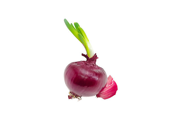 포토 JPG 해외이미지 식물 계절 음식 농업 채소 전구 양파 요리 사람없음 새싹 봄 샐러드 수확 성장 신선 조미료 상품 발사 향신료 고립 적양파 해외202004 해외포토 산업 향미료 파일형식 이미지허브