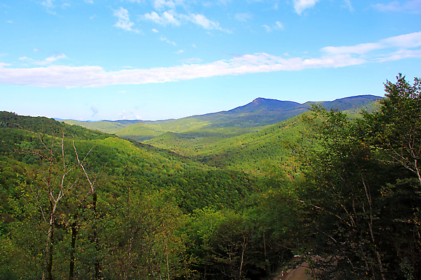 포토 JPG 해외이미지 나무 구름 여행 자연 하늘 휴식 산 파노라마 풍경 사람없음 목재 초록색 여름 파란색 침묵 정상 숲 척추 통과 해외202004 해외포토 자연요소 식물 계절 컬러 컨셉 재료 뼈 촬영기법 소리 생태계 파일형식 이미지허브