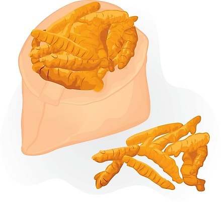 EPS 해외이미지 식물 음식 백그라운드 농업 다이어트 채소 가방 오렌지 일러스트 재료 건강 요리 동양인 약 농장 주방 식사 흰색 신선 조끼 양념 조미료 시장 맛 가루 인도인 허브 향신료 유기농 매움 날것 뿌리 향 반대 내추럴 영양분 채식주의자 치료제 강황 항생제 비건 해외202004 해외일러스트 외국인 웰빙 잡화 산업 컬러 컨셉 과일 식재료 의학 인종 외투 채식 향미료 파일형식 벡터 이미지허브