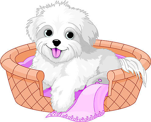 EPS 해외이미지 클립아트 동물 캐릭터 분홍색 일러스트 포유류 미소 반려동물 바구니 가축 흰색 침대 잠 개 강아지 작음 담요 만화 솜털 송곳니 고립 볼로냐 해외202004 해외일러스트 일러캐릭터 컬러 가구 표정 치아 크기 파일형식 벡터 이미지허브