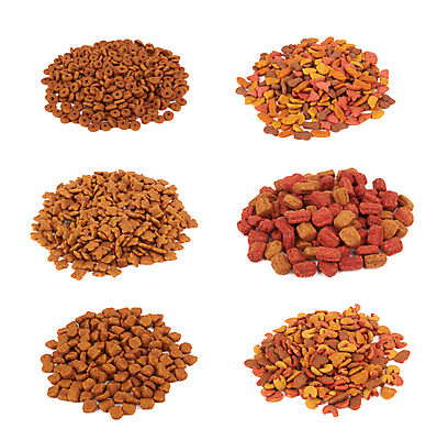 포토 JPG 해외이미지 동물 음식 백그라운드 뼈 식이요법 사람없음 빨간색 반려동물 고양이 흰색 하트 사발 개 먹기 고립 기르기 단백질 해외202004 해외포토 모양 컬러 포유류 모션 건강 사기그릇 돌봄 영양소 파일형식 이미지허브