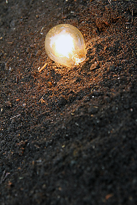 포토 JPG 해외이미지 식물 산업 지구 과학 컨셉 전구 상상 자연 유리 아이디어 따뜻함 사람없음 초록색 경제 빛 환경 힘 흙 재활용 에너지 최고 뜨거움 땅 스마트 에코 먼지 해결 혁명 땅바닥 생태학 필라멘트 해외202004 해외포토 교육 컬러 재질 바닥 친환경 생태계 파일형식 이미지허브