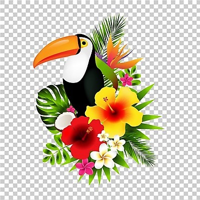 EPS 해외이미지 디자인 배너 꽃 포스터 과일 일러스트 텍스트 조류 손바닥 사랑 여름 쇼핑 태양 유행 꼬리표 라벨 상점 웹 뜨거움 시장 인쇄 큼 오브젝트 사인 코코넛 동물상 마지막 스타일리스트 재고정리 특별함 히비스커스 스타일 제의 해외202004 해외일러스트 자연요소 식물 동물 손 계절 감정 컨셉 인터넷 프레임 조형물 크기 파일형식 벡터 이미지허브