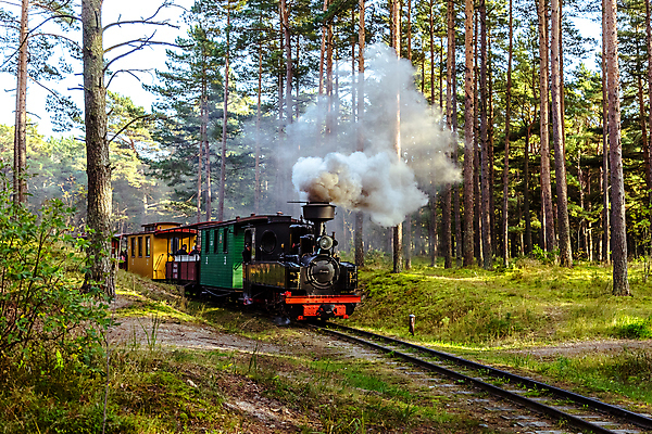 포토 JPG 해외이미지 나무 외관 유럽 어린이 여행 교통시설 사람없음 야외 초록색 기차 역사 수증기 좁은 마차 승객 엔진 게이지 선로 해외202004 해외포토 식물 나라 육상교통 교통수단 컬러 교통 대중교통 사람 시설 파일형식 이미지허브