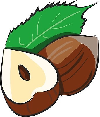 EPS 해외이미지 나무 음식 백그라운드 잎 과일 일러스트 재료 자연 건조 건강 씨앗 초록색 세트 갈색 노란색 쌓기 초콜릿 견과류 껍질 흰색 맛 먹기 오브젝트 유기농 내추럴 개암나무 고립 채식주의자 헤이즐넛 개암 해외202004 해외일러스트 식물 웰빙 열매 컬러 컨셉 모션 디저트 생태계 채식 파일형식 벡터 이미지허브