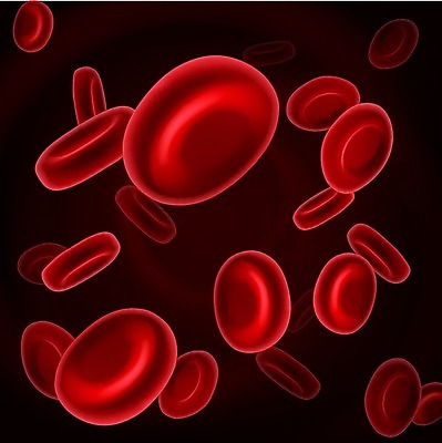 JPG 해외이미지 일러스트 세포 사람없음 빨간색 3D 적혈구 혈구 해외202004 해외일러스트 컬러 디지털합성 혈관 파일형식 이미지허브