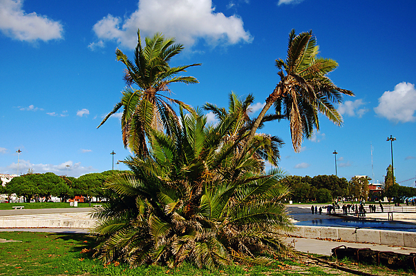 포토 JPG 해외이미지 나무 전통 외관 교육 유럽 문화 밭 농업 자연 하늘 주택 풍경 잔디 사람없음 야외 건물 가로 초록색 물 여름 파란색 강 농장 탑 침묵 바위 시골 성 역사 포르투갈 심볼 조경 장면 코르크 상록수 올가미 옛날 해외202004 해외포토 자연요소 식물 건축물 계절 나라 산업 컬러 소리 돌_바위 생태계 파일형식 이미지허브