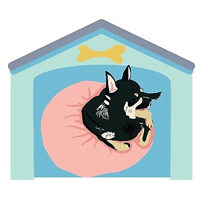 EPS 해외이미지 동물 디자인 배너 포스터 여행 백그라운드 일러스트 비즈니스 건강 병원 안전 치료 반려동물 세트 알약 약 고양이 플랫 개 강아지 보호 질병 심볼 서비스 사인 이익 주사약 수의사 보험 돌봄 엘리먼트 예방접종 예방주사 아바타 해외202004 해외일러스트 컨셉 포유류 의학 모션 주사기 의사 예방 접종 파일형식 벡터 이미지허브