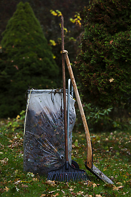 포토 JPG 해외이미지 나무 식물 계절 잎 농업 가방 자연 잔디 취미 사람없음 야외 환경 카트 가을 작업 청소 조경 먼지 갈퀴 세련 해외202004 해외포토 잡화 산업 생태계 파일형식 이미지허브