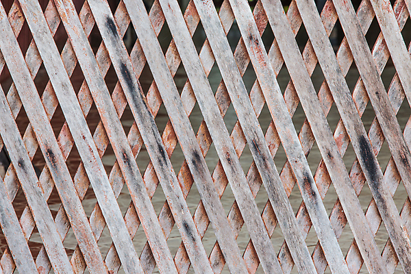 포토 JPG 해외이미지 접시 디자인 선 벽 백그라운드 패턴 자연 탁자 표면 날씨 추상 바닥 주택 사람없음 내부 건물 목재 장식 빛 문 페인트 공백 수확 나사 소나무 판넬 거친 널 낟알 타일 질감 복고 내추럴 구식 그런지 수목 옛날 합판 파케트 해외202004 해외포토 나무 식기 건축물 가구 무늬 농업 재료 공구 생태계 파일형식 이미지허브