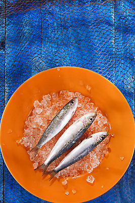 포토 JPG 해외이미지 접시 식재료 실내 사람없음 얼음 신선 그물 파란배경 멸치 앤초비 해외202004 해외포토 자연요소 식기 백그라운드 어류 내부 파란색 파일형식 이미지허브
