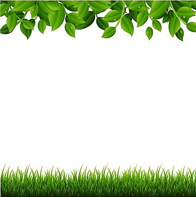 EPS 해외이미지 식물 배너 공원 포스터 백그라운드 잎 패턴 밭 일러스트 자연 벽지 놀이 추상 프레임 잔디 야외 목재 가로 초록색 여름 환경 축구 봄 활발 흰색 나뭇가지 신선 보호 허브 오브젝트 원예 질감 심플 내추럴 고립 해외202004 해외일러스트 나무 계절 공공시설 컬러 컨셉 무늬 농업 재료 취미 구기 생태계 파일형식 벡터 이미지허브