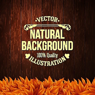 EPS 해외이미지 나무 식물 템플릿 디자인 배너 계절 포스터 백그라운드 잎 패턴 일러스트 자연 벽지 추상 프레임 목재 장식 컬러풀 환경 공백 수확 가을 신용카드 발표 황금 널 상품 갑판 사인 에코 유기농 생태계 질감 레이아웃 복고 내추럴 생태학 옛날 해외202004 해외일러스트 웰빙 교육 컬러 무늬 농업 배_교통 재료 금융 파일형식 벡터 이미지허브