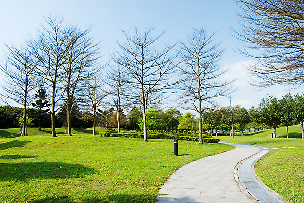 포토 JPG 해외이미지 나무 식물 계절 도로 길 잎 겨울 밭 자연 하늘 풍경 잔디 사람없음 야외 초록색 태양 환경 정원 맑음 봄 시골 땅 언덕 심플 대머리 내추럴 생태학 수평선 해외202004 해외포토 자연요소 헤어스타일 교육 컬러 농업 교통시설 날씨 생태계 파일형식 이미지허브