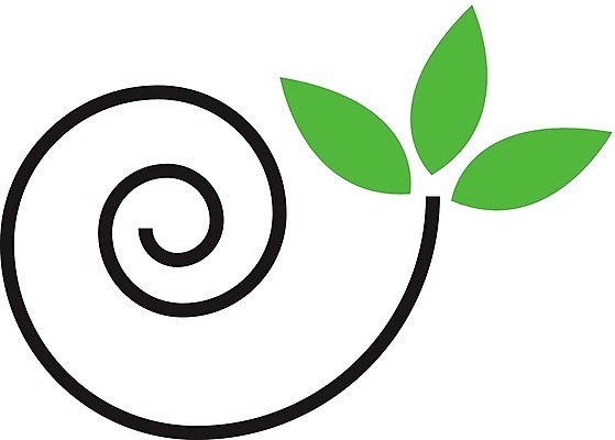 EPS 해외이미지 동물 디자인 음식 바다 잎 곡선 일러스트 비즈니스 자연 추상 조개 연체동물 나선형 갑각류 장식 초록색 환경 수중 성장 소용돌이 껍질 고리 우아함 소라 심볼 피부 오브젝트 유기농 달팽이 생물학 윤곽 화석 생태학 앵무조개 해외202004 해외일러스트 식물 웰빙 교육 선 컬러 컨셉 무늬 어패류 무척추동물 신체부위 회오리 생태계 파일형식 벡터 사람 이미지허브