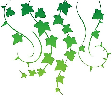 EPS 해외이미지 식물 꽃 줄기 백그라운드 포크 컨셉 잎 꽃무늬 일러스트 자연 건강 사람없음 그래픽 장식 초록색 정원 봄 성장 나뭇가지 신선 덩굴 숲 허브 묘사 포도나무 아이비 내추럴 고립 해외202004 해외일러스트 나무 식기 계절 컬러 무늬 과일나무 생태계 파일형식 벡터 이미지허브