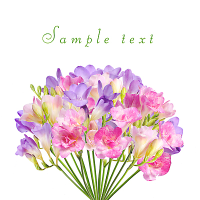 포토 JPG 해외이미지 식물 계절 꽃잎 꽃 잎 꽃무늬 자연 수채화 부활절 사랑 사람없음 야외 초록색 여름 빛 우주 정원 봄 투명 개화 우아함 작음 자주색 제비꽃 향수 속도 만족 아로마 내추럴 고립 땅바닥 사프란 특별함 해외202004 해외포토 기념일 감정 컬러 컨셉 무늬 바닥 화장품 크기 향신료 생태계 파일형식 이미지허브