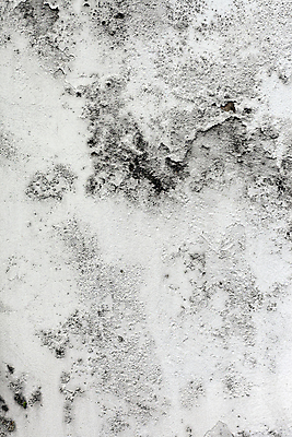 포토 JPG 해외이미지 디자인 종이 벽 백그라운드 패턴 건축양식 표면 날씨 추상 프레임 사람없음 내부 건물 장식 검은색 페인트 공백 회색 수확 골동품 흰색 도시 거친 묘사 부식 질감 복고 시멘트 페이지 그런지 깨짐 석고 옛날 콘크리트 노화 효과 해외202004 해외포토 건축물 건축 컬러 컨셉 무늬 농업 파일형식 이미지허브