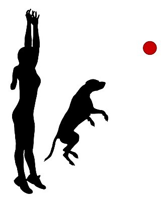 EPS 해외이미지 동물 실루엣 스포츠 백그라운드 일러스트 공 놀이 사람 그래픽 빨간색 반려동물 검은색 경기장 흰색 잡기 던지기 개 사냥 통과 고립 신앙심 해외202004 해외일러스트 컬러 포유류 스포츠시설 모션 촬영기법 파일형식 벡터 시설 이미지허브