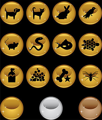 EPS 해외이미지 클립아트 동물 디자인 음식 곤충 백그라운드 일러스트 포유류 가족 조류 버튼 뼈 주택 어류 미술 그래픽 반려동물 세트 상점 검은색 고양이 대접 뱀 거북이 개 쥐 청소 거미 분무기 고립 엘리먼트 공급 해외202004 해외일러스트 컬러 관계 파충류 문화예술 건물 수중동물 설치류 파일형식 벡터 이미지허브