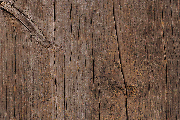 포토 JPG 해외이미지 동물 잡화 음식 분홍색 백그라운드 다이어트 재료 조류 뼈 건강 육류 요리 사람없음 주방 식사 저녁식사 치킨 신선 닫기 가슴 자르기 먹기 오브젝트 유기농 점심식사 고립 해외202004 해외포토 웰빙 컬러 식재료 모션 신체부위 닭고기요리 파일형식 이미지허브