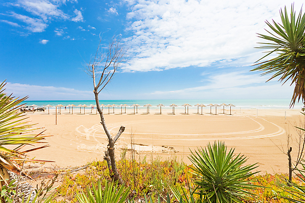 포토 JPG 해외이미지 나무 식물 꽃 유럽 모래 바다 여행 잎 자연 하늘 휴가 풍경 사람없음 목재 물 여름 야자수 햇빛 맑음 수영 이탈리아 벚꽃 나뭇가지 시골 만 개화 발자국 지중해 양산 빛망울 가림막 해외202004 해외포토 자연요소 계절 나라 재료 자국 날씨 빛 태양 수상스포츠 생태계 파일형식 이미지허브