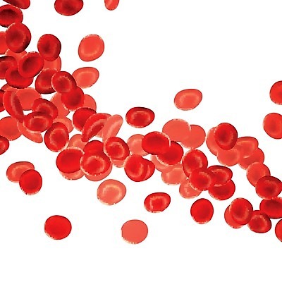 EPS 해외이미지 모양 손 디자인 배너 실루엣 백그라운드 컨셉 일러스트 추상 잉크 창조 사랑 미술 그래픽 장식 빨간색 페인트 젖음 흐름 흰색 물방울 하트 점 얼룩 액체 혈액 떨어짐 심볼 그림 질감 분무기 내추럴 고립 그런지 엘리먼트 해외202004 해외일러스트 감정 컬러 무늬 문화예술 촬영기법 신체부위 파일형식 벡터 이미지허브