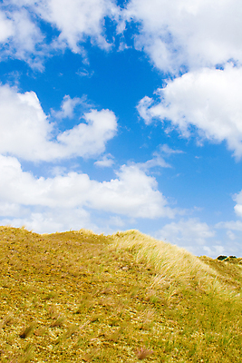 포토 JPG 해외이미지 구름 유럽 모래 바다 섬 여행 자연 하늘 바람 날씨 휴가 독일 풍경 사람없음 야외 초록색 물 여름 파란색 모래사장 맑음 봄 모래언덕 네덜란드 북쪽 수평선 해외202004 해외포토 자연요소 계절 나라 컬러 방향 언덕 생태계 파일형식 이미지허브