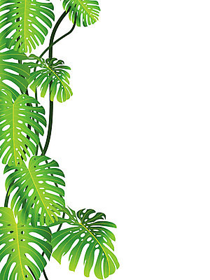 EPS 해외이미지 클립아트 모양 나무 식물 디자인 꽃 실루엣 백그라운드 잎 꽃무늬 일러스트 자연 추상 프레임 미술 목재 장식 초록색 여름 환경 성장 흰색 축하 황무지 숲 조경 윤곽 아이비 고립 구성 생태학 해외202004 해외일러스트 계절 교육 컬러 컨셉 무늬 재료 문화예술 촬영기법 생태계 파일형식 벡터 이미지허브