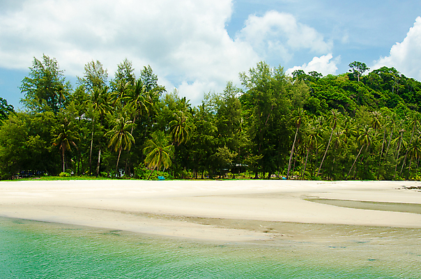 포토 JPG 해외이미지 나무 모래 파도 바다 섬 여행 백그라운드 자연 하늘 휴가 손바닥 풍경 사람없음 물 여름 파란색 태양 맑음 수중 흰색 해외202004 해외포토 자연요소 식물 손 계절 컬러 날씨 생태계 파일형식 이미지허브