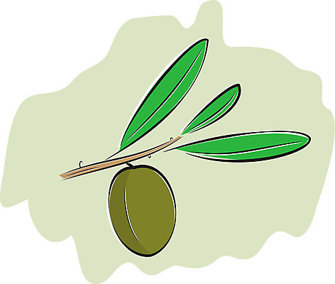 EPS 해외이미지 나무 식물 음식 잎 꽃무늬 과일 일러스트 재료 자연 건강 초록색 나뭇가지 지중해 허브 싱글 올리브 채식주의자 해외202004 해외일러스트 열매 꽃 바다 컬러 무늬 생태계 채식 파일형식 벡터 이미지허브