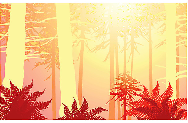 EPS 해외이미지 나무 공원 야생동물 백그라운드 잎 캐나다 일러스트 자연 추상 따뜻함 풍경 야외 목재 초록색 여름 빛 컬러풀 태양 평화 환경 봄 꿈 안개 덮개 광선 나뭇가지 소나무 숲 신비 열대우림 소금 신화 내추럴 삼나무 양치류 해외202004 해외일러스트 자연요소 식물 동물 계절 공공시설 컬러 컨셉 북아메리카 무늬 재료 날씨 뚜껑 생태계 파일형식 벡터 이미지허브