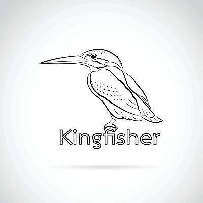 EPS 해외이미지 동물 1 디자인 종이 야생동물 백그라운드 패턴 날개 일러스트 자연 벽지 조류 낚시 어류 어업 미술 사람없음 그래픽 장식 반려동물 검은색 페인트 흰색 나뭇가지 신용카드 주름 플랫 만화 문신 심볼 깃털 그림 부리 내추럴 고립 동물상 마스코트 물총새 포식 스타일 해외202004 해외일러스트 나무 산업 컬러 무늬 레저 문화예술 금융 조형물 수중동물 생태계 파일형식 벡터 이미지허브