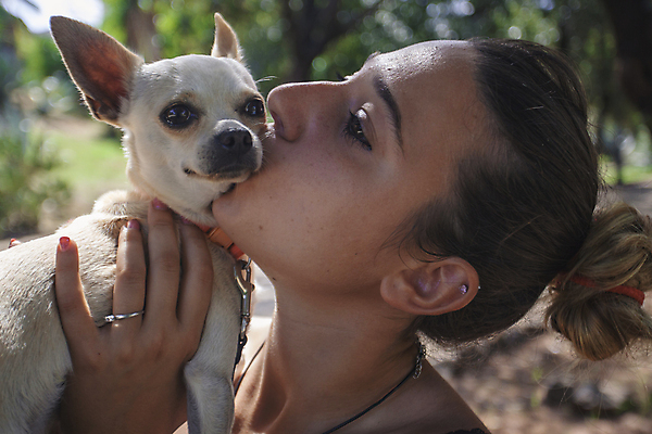 포토 JPG 해외이미지 동물 백인 응시 여자 행복 어린이 새끼 포옹 놀이 키스 털 사랑 미소 잔디 사람없음 야외 빨간색 초록색 울타리 반려동물 우정 미니어처 흰색 아기 개 강아지 작음 치수 치와와 송곳니 기르기 뒤뜰 마스코트 미니 해외202004 해외포토 서양인 식물 시선 감정 컬러 포유류 안기 표정 사람 친구 담장 모형 치아 크기 애정표현 돌봄 파일형식 이미지허브