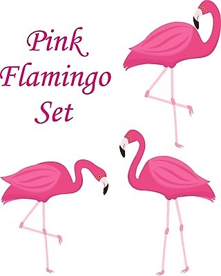 EPS 해외이미지 동물 디자인 분홍색 백그라운드 일러스트 자연 조류 수채화 미술 장식 여름 세트 컬러풀 파티 유행 봄 흰색 인쇄 만화 수집 플라밍고 심볼 사파리 고립 엘리먼트 이국적 해외202004 해외일러스트 계절 컬러 문화예술 이벤트 생태계 파일형식 벡터 이미지허브