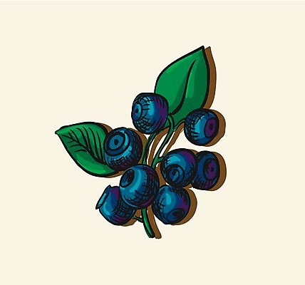 EPS 해외이미지 식물 디자인 계절 음식 백그라운드 잎 다이어트 과일 일러스트 자연 건강 요리 초록색 물 여름 컬러풀 정원 주스 수확 신선 시장 달콤 맛 떨어짐 낙서 잼 오브젝트 메뉴 그림 유기농 블루베리 슈퍼마켓 내추럴 채식주의자 해외202004 해외일러스트 자연요소 웰빙 음료 컬러 컨셉 농업 상점 소스 생태계 채식 파일형식 벡터 산업 양념 이미지허브
