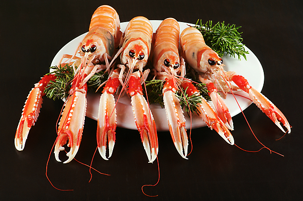 포토 JPG 해외이미지 전신 음식 분홍색 오렌지 새우 갑각류 사람없음 빨간색 초록색 갈색 노란색 검은색 흰색 신선 그릴 가재 바닷가재 해산물 로즈메리 건강식 집게발 해외202004 해외포토 동물 컬러 과일 주방용품 허브 파일형식 이미지허브