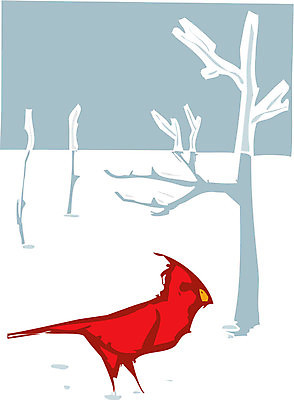 EPS 해외이미지 동물 야생동물 겨울 일러스트 자연 조류 빨간색 숲 목판화 해외202004 해외일러스트 계절 컬러 생태계 파일형식 벡터 이미지허브