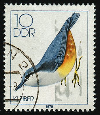 포토 JPG 해외이미지 야생동물 조류 독일 사람없음 빈티지 우표 해외202004 해외포토 동물 유럽 컨셉 파일형식 이미지허브