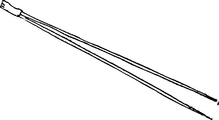 EPS 해외이미지 나무 선 잎 일러스트 미술 씨앗 검은색 수확 흰색 소나무 배열 그림 좁은 판화 해외202004 해외일러스트 식물 컬러 농업 문화예술 파일형식 벡터 이미지허브