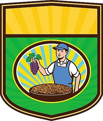 EPS 해외이미지 남자 농업 일러스트 포도 노동자 소년 그래픽 농작물 햇빛 수확 사발 농부 유기농 복고 방패 건포도 해외202004 해외일러스트 직업 웰빙 산업 어린이 과일 사람 빛 사기그릇 건과일 파일형식 벡터 그릇 건조 식기 이미지허브