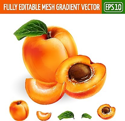 EPS 해외이미지 클립아트 음식 잎 일러스트 포장 자연 디저트 요리 그래픽 장식 컬러풀 꼬리표 라벨 주방 식당 주스 수확 신선 맛 잼 먹기 에코 유기농 배지 통조림 내추럴 고립 살구 숙성 채식주의자 해외202004 해외일러스트 식물 웰빙 음료 컬러 컨셉 농업 과일 모션 프레임 환경 상점 소스_음식 생태계 채식 파일형식 벡터 이미지허브