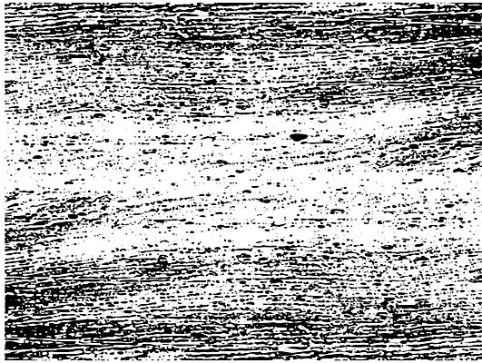 EPS 해외이미지 템플릿 디자인 포스터 종이 선 벽 백그라운드 패턴 일러스트 벽지 표면 추상 잉크 흑백 미술 그래픽 장식 세트 검은색 어둠 수확 골동품 흰색 얼룩 거친 균열 우아함 인쇄 부식 질감 복고 먼지 그런지 엘리먼트 옛날 해외202004 해외일러스트 컬러 컨셉 무늬 농업 모션 문화예술 촬영기법 파일형식 벡터 이미지허브