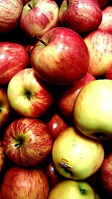 포토 JPG 해외이미지 과일 사람없음 빨간색 초록색 사과 해외202004 해외포토 컬러 파일형식 이미지허브