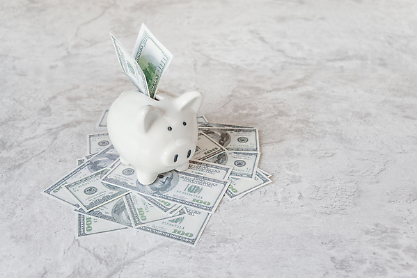 포토 JPG 해외이미지 백그라운드 컨셉 지폐 돈 비즈니스 안전 사람없음 금융 경제 상자 장난감 쌓기 달러 저축 성장 흰색 돼지 도자기 시장 재산 주식 은퇴 보안 투자 이익 흙더미 계좌 자금 해외202004 해외포토 컬러 포유류 모션 흙 파일형식 더미 이미지허브