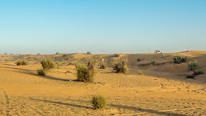 포토 JPG 해외이미지 나무 식물 모래 여행 중동 자연 하늘 건조 풍경 사람없음 야외 파란색 사막 나뭇가지 모래언덕 먼지 장면 아랍에미리트 해외202004 해외포토 나라 컬러 언덕 생태계 파일형식 이미지허브
