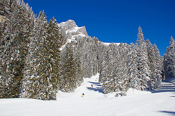 포토 JPG 해외이미지 나무 전통 이동 크리스마스 겨울 자연 휴가 스키 산 주택 요정 풍경 사람없음 목재 평화 마을 계곡 맑음 화목 신선 정상 숲 오두막 아래 시골집 휴양지 알프스 상록수 전나무 깊이 샬레 절정 제설기 눈내림 해외202004 해외포토 식물 계절 기념일 유럽 컨셉 재료 날씨 겨울스포츠 눈_날씨 실험기구 건물 장소 방향 생태계 위치 제설 파일형식 이미지허브