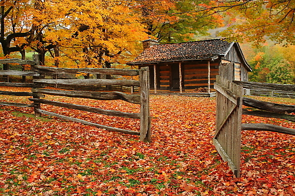 포토 JPG 해외이미지 나무 계절 오렌지 건축양식 창문 자연 지붕 날씨 휴가 벽돌 출입구 주택 굴뚝 풍경 사람없음 초록색 갈색 문 가을 바위 시골 재산 숲 땅 통나무 옛날 진짜 철책 해외202004 해외포토 식물 건축 컬러 과일 건물 금융 돌_바위 생태계 파일형식 이미지허브